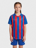 hmlCORE XK STRIPED JERSEY S/S KIDS