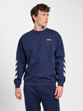 hmlCHEVRON ATHLETIC SWEATSHIRT