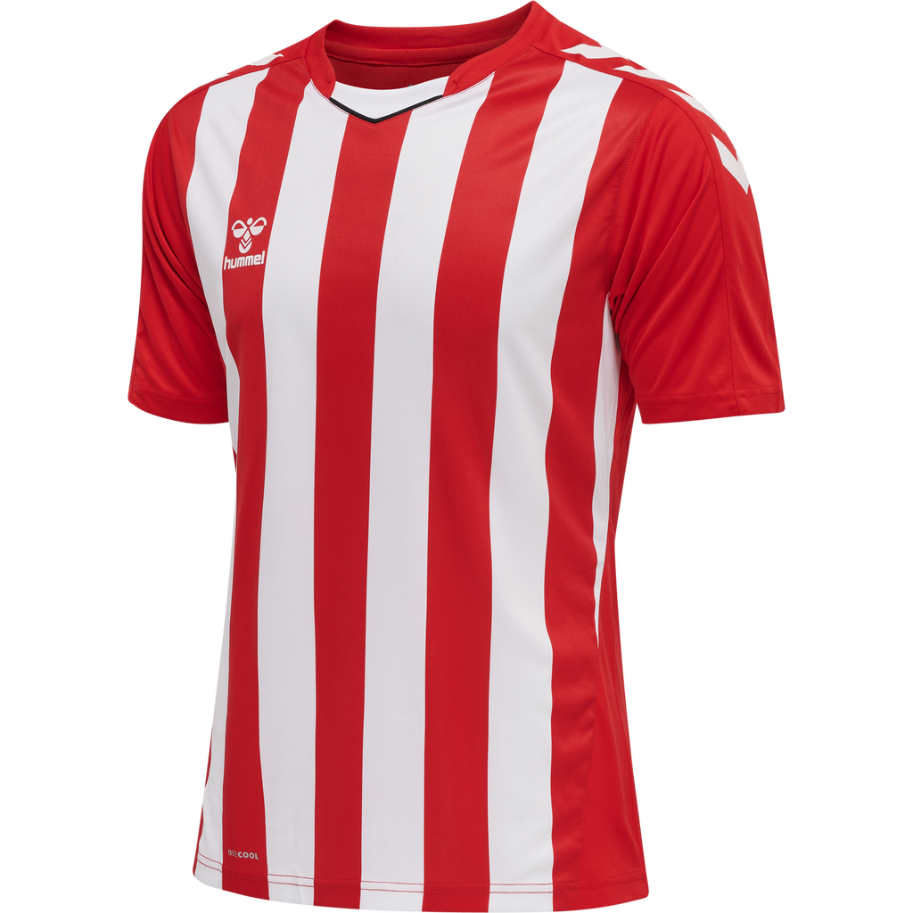hmlCORE XK STRIPED JERSEY S/S