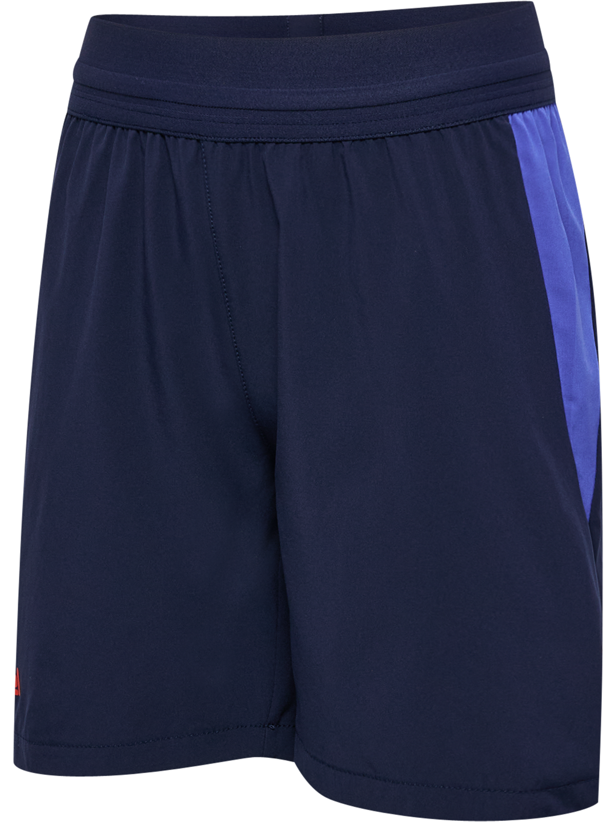 hmlBLAZE26 PRO TRAINING SHORTS KIDS
