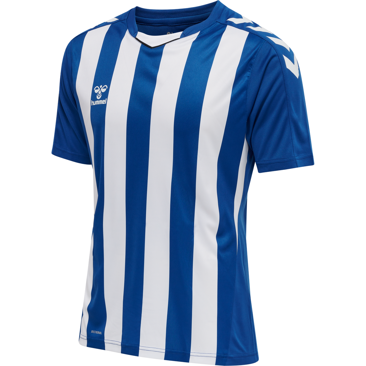 hmlCORE XK STRIPED JERSEY S/S