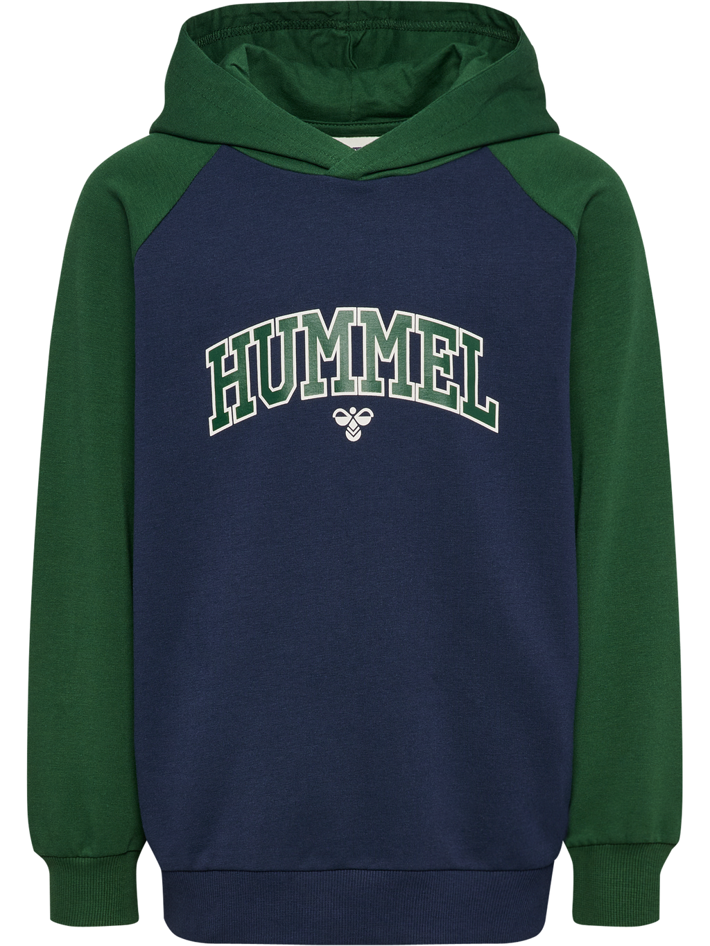 hmlESSEN HOODIE
