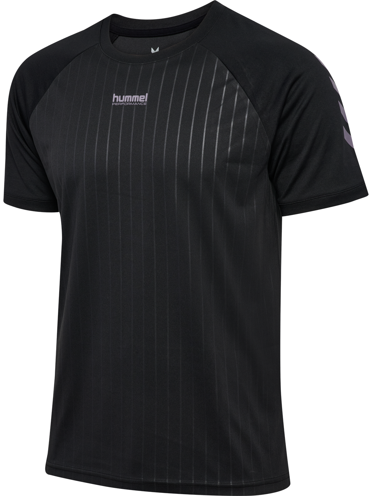 hmlPULSE STRIPE T-SHIRT S/S