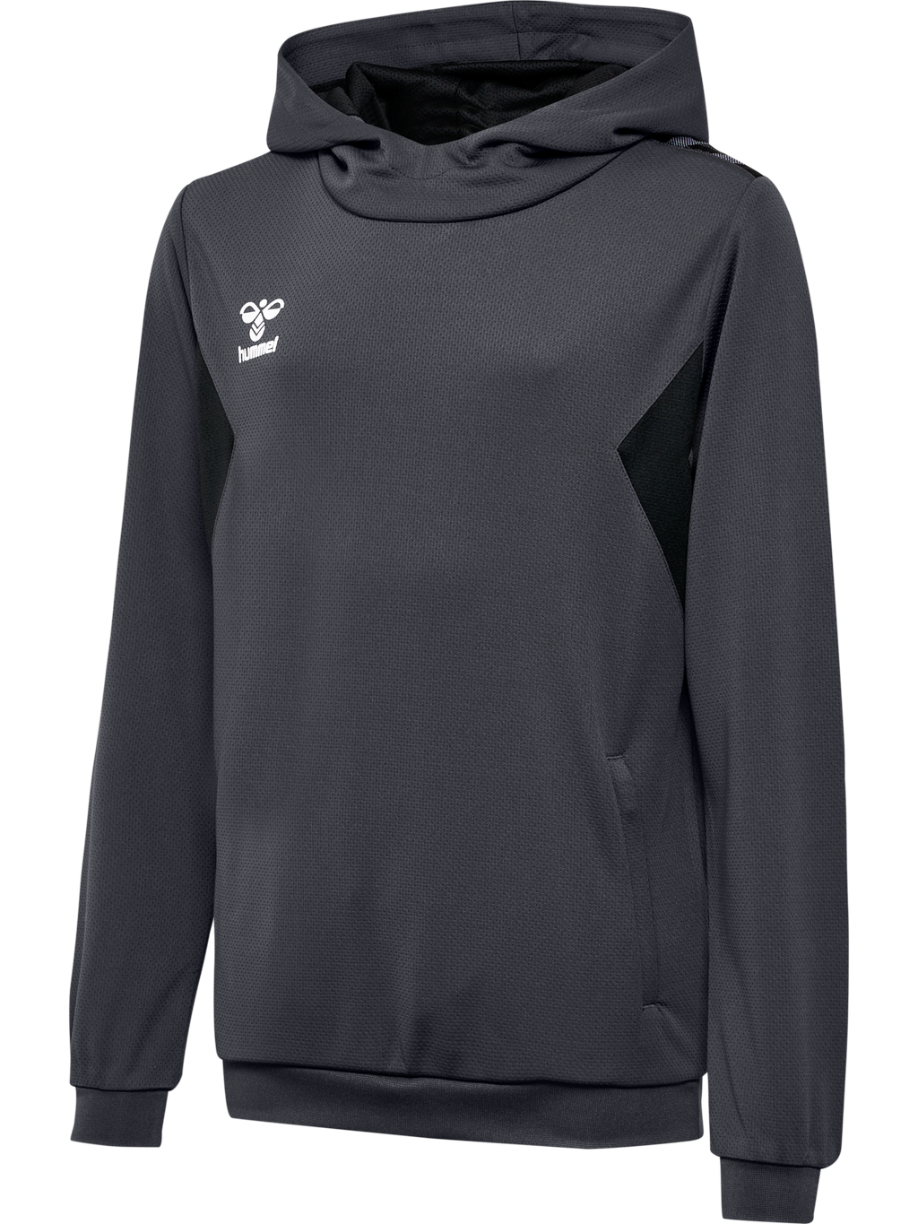 hmlAUTHENTIC PL HOODIE KIDS