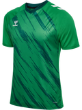 hmlMATCH TRIUMPH JERSEY S/S