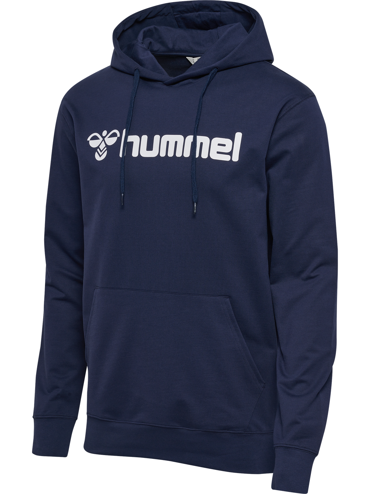 hmlGO 2.0 LOGO HOODIE