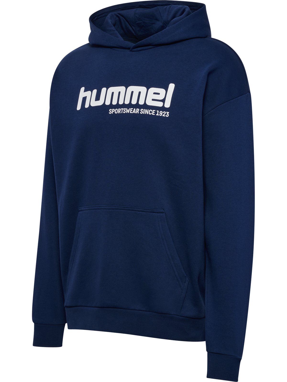 hmlSW GRAPHIC HOODIE