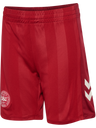 DBU WOMAN 25 HOME SHORTS KIDS