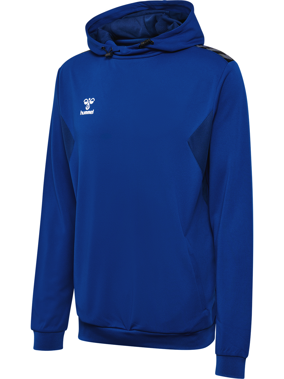 hmlAUTHENTIC PL HOODIE