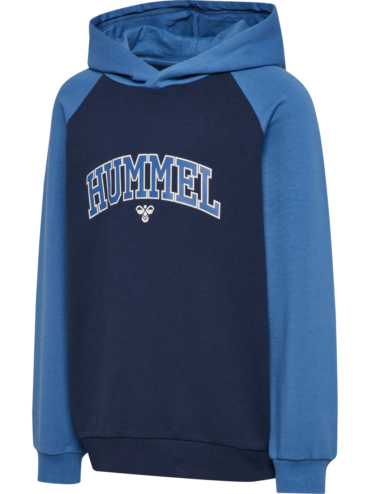 hmlESSEN HOODIE