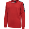 hmlAUTHENTIC KIDS TRAINING SWEAT