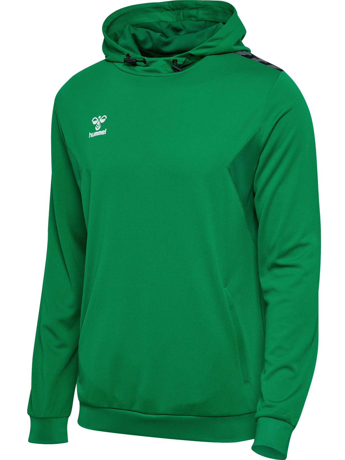 hmlAUTHENTIC PL HOODIE
