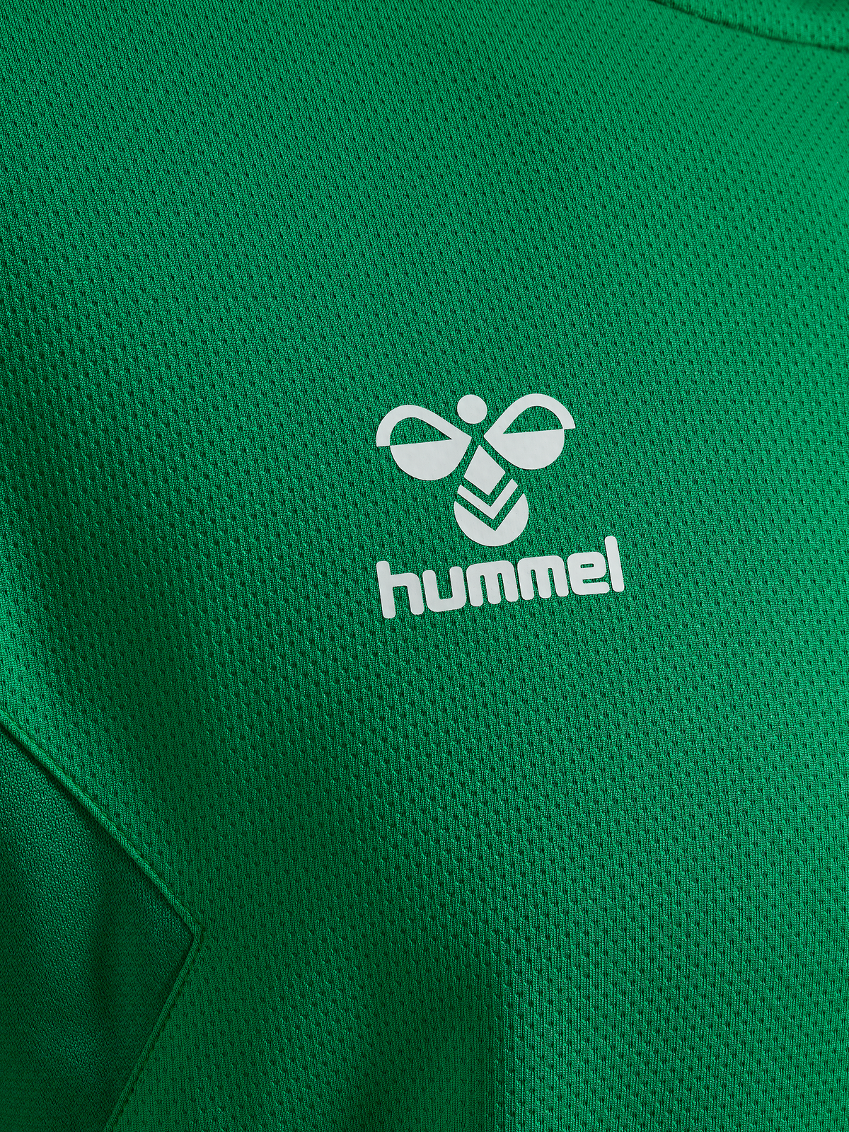 hmlAUTHENTIC PL HOODIE