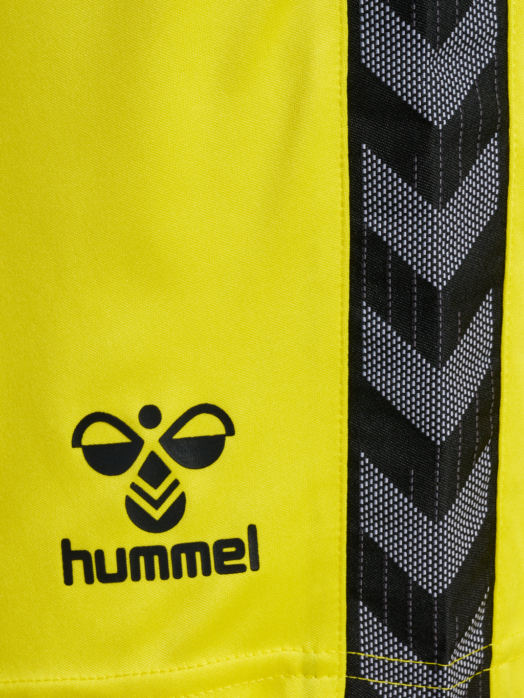 hmlAUTHENTIC PL SHORTS