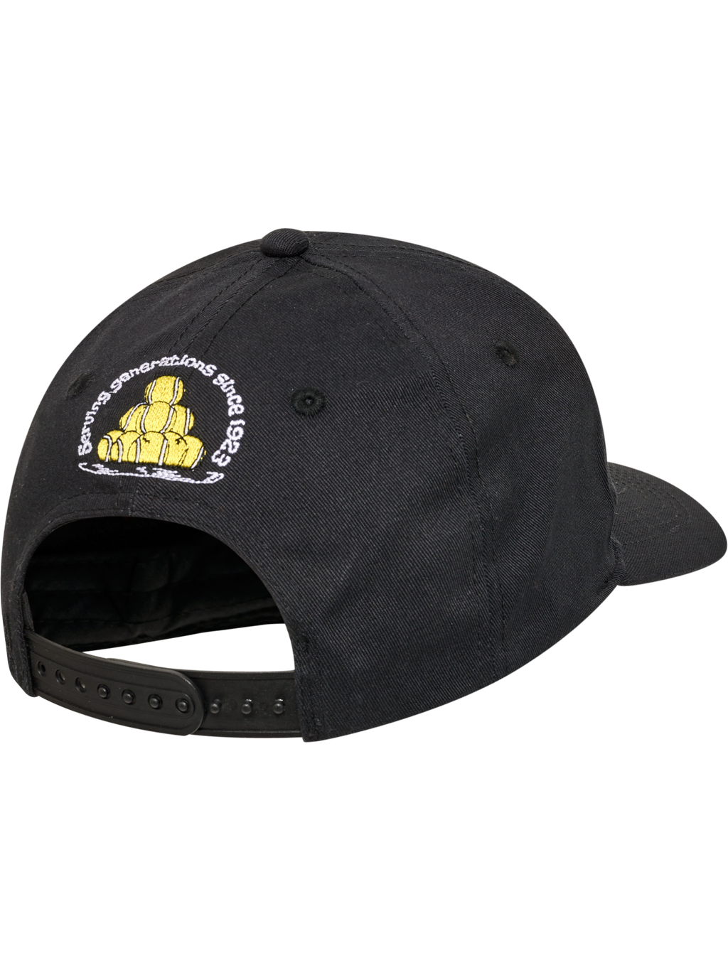 hmlSNAP CAP CALL US