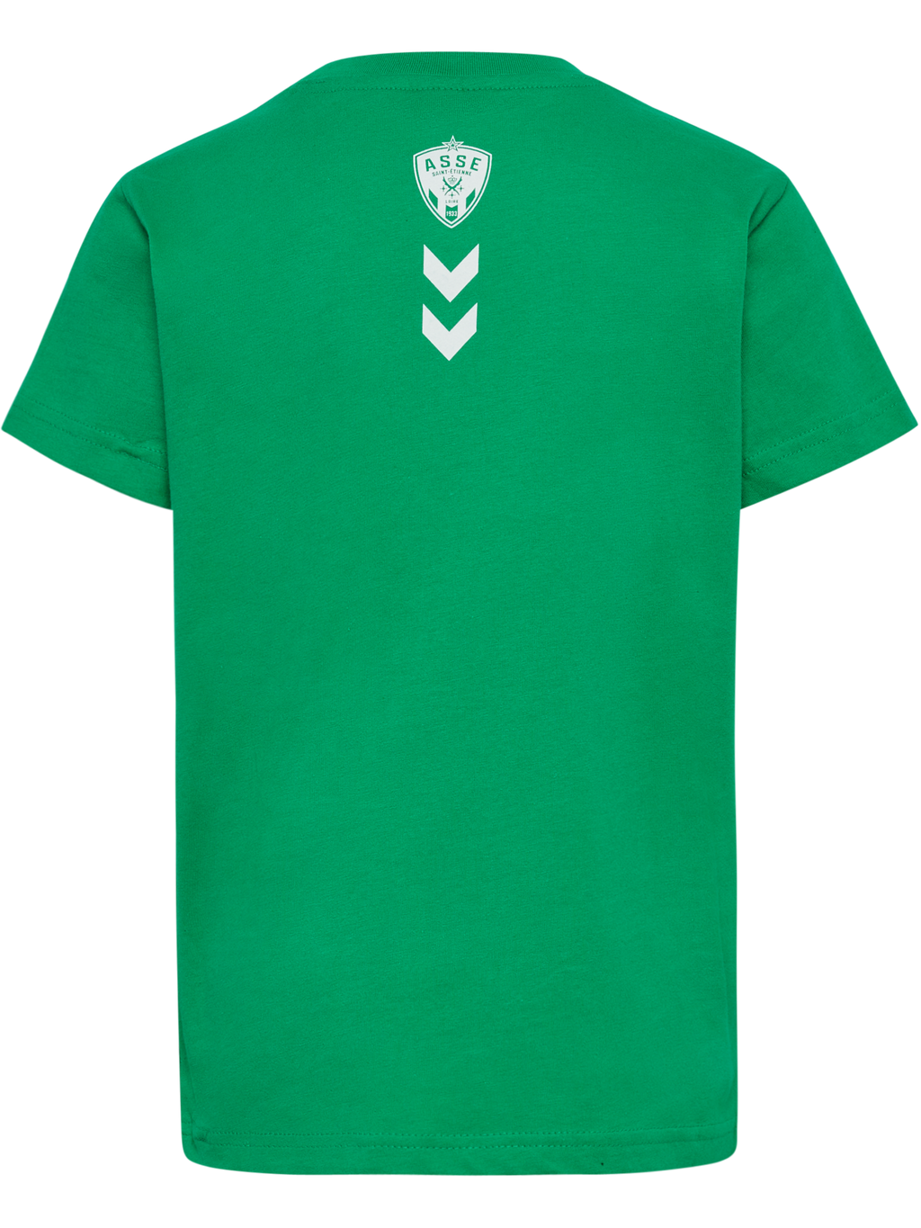 ASSE 22/23 FAN GREEN T-SHIRT S/S KI