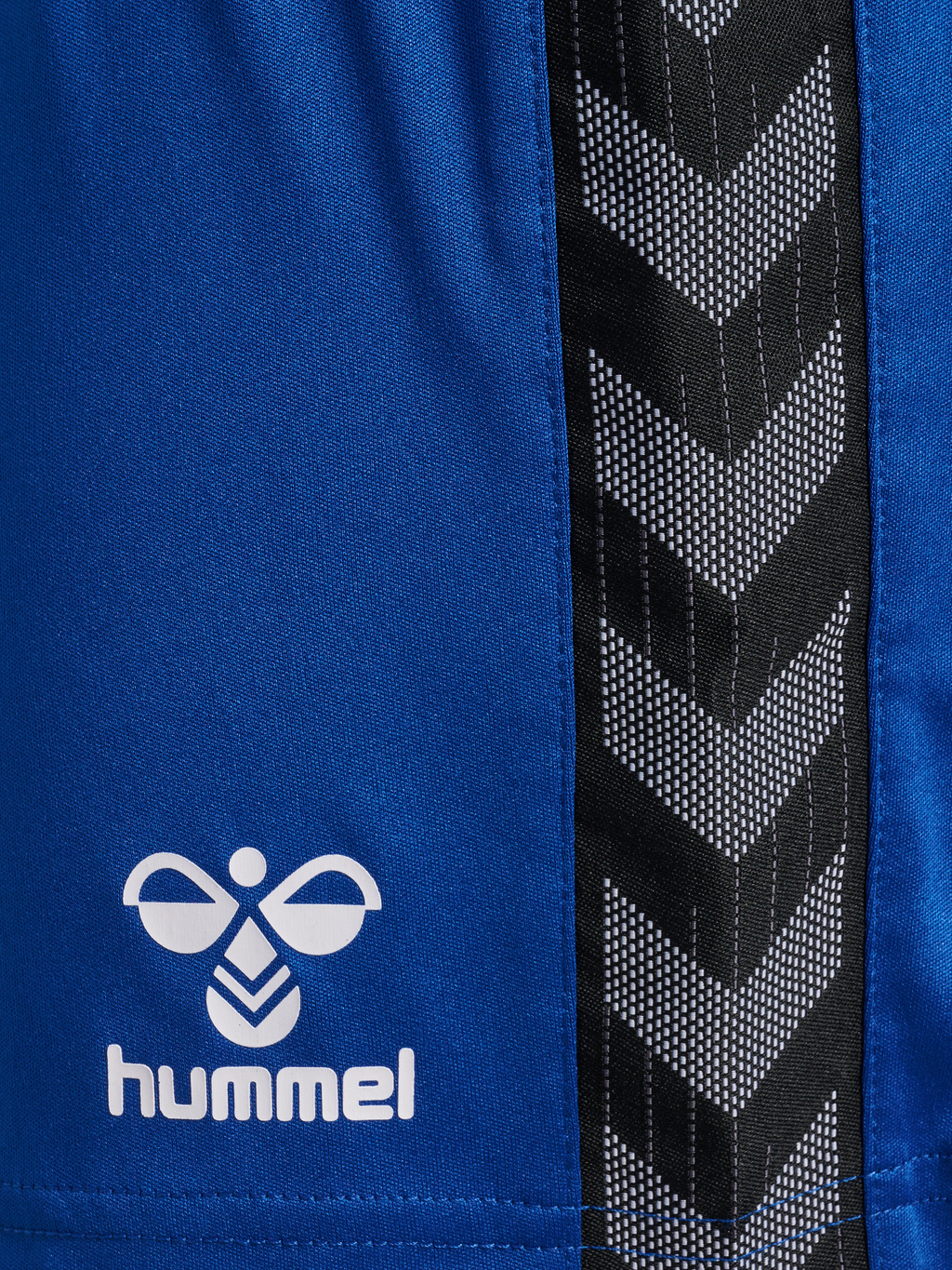 hmlAUTHENTIC PL SHORTS WOMAN