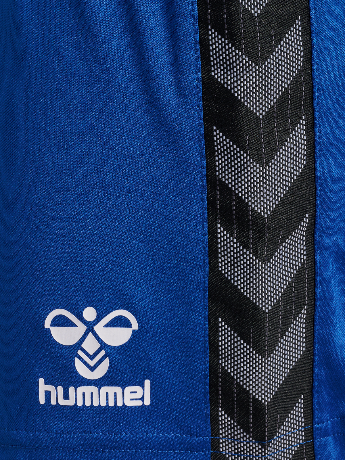 hmlAUTHENTIC PL SHORTS WOMAN