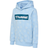 hmlFLOW HOODIE