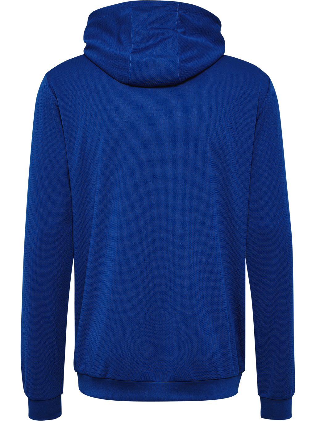 hmlAUTHENTIC PL HOODIE