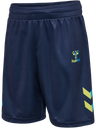 hmlSHIMMER SHORTS