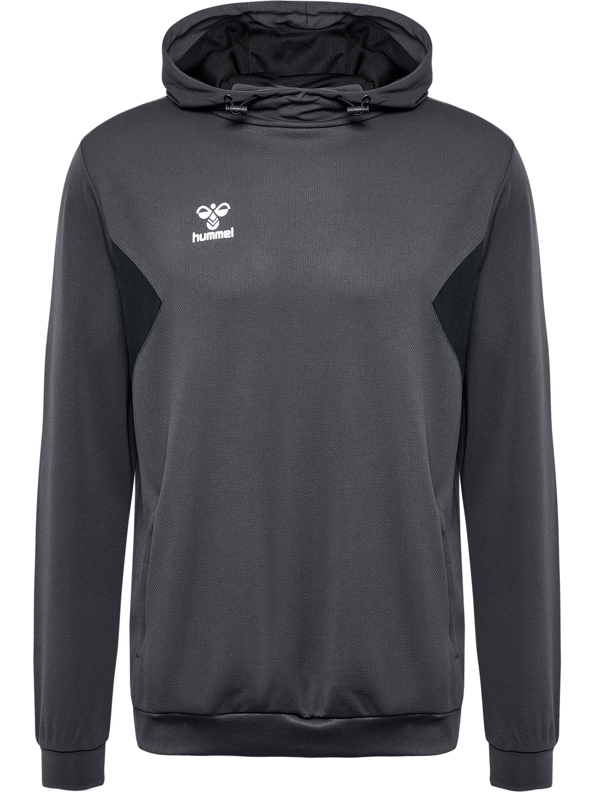 hmlAUTHENTIC PL HOODIE