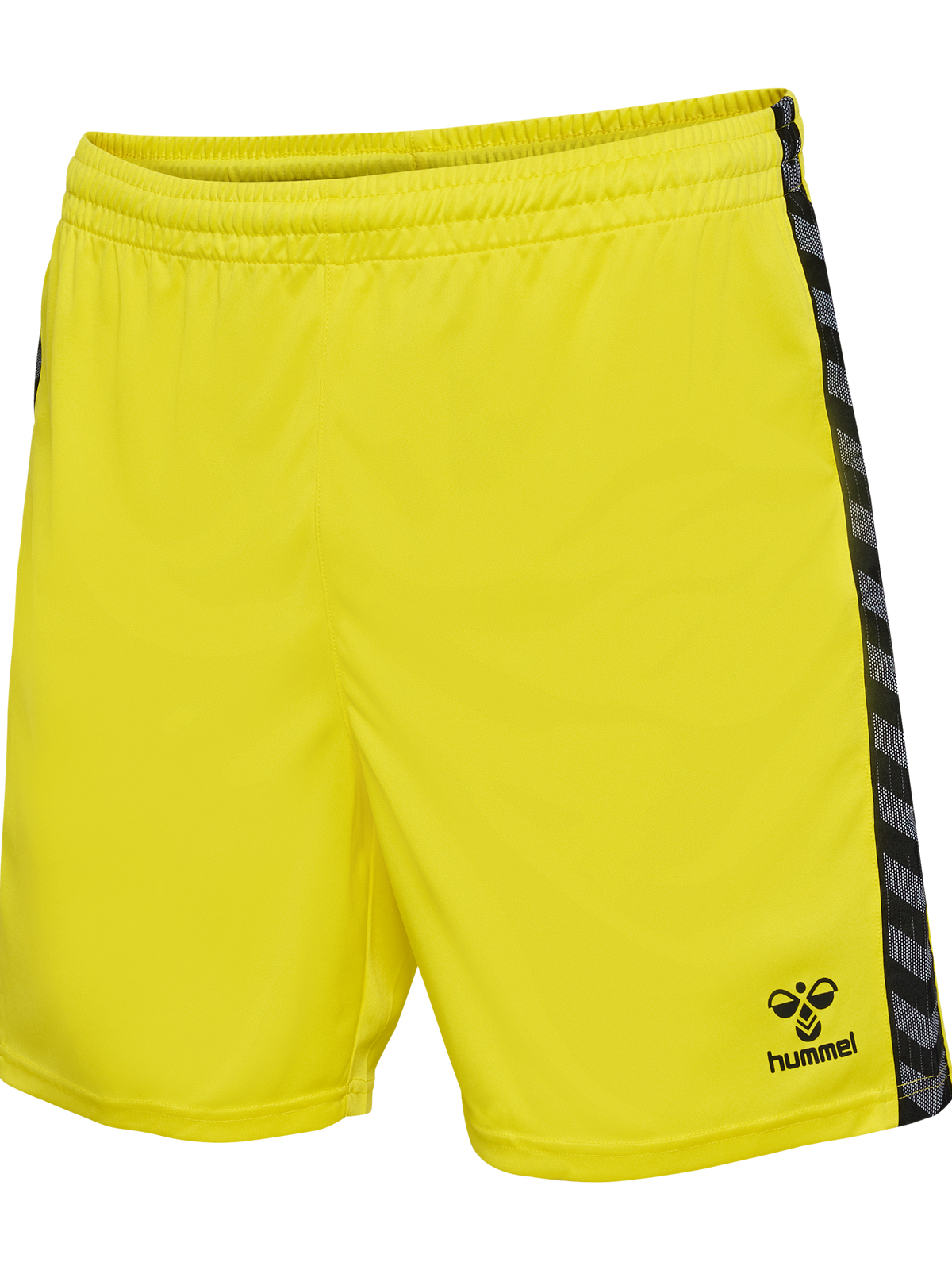 hmlAUTHENTIC PL SHORTS