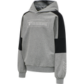 hmlBOXLINE HOODIE