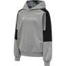 hmlBOXLINE HOODIE
